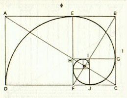 Espiral de Oro - Proporción áurea